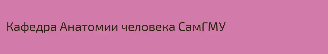 Кафедра Анатомии человека СамГМУ